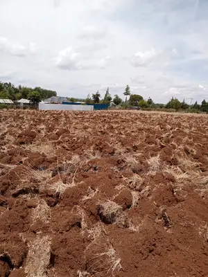 1/2 Acre Kamariny Iten With Title