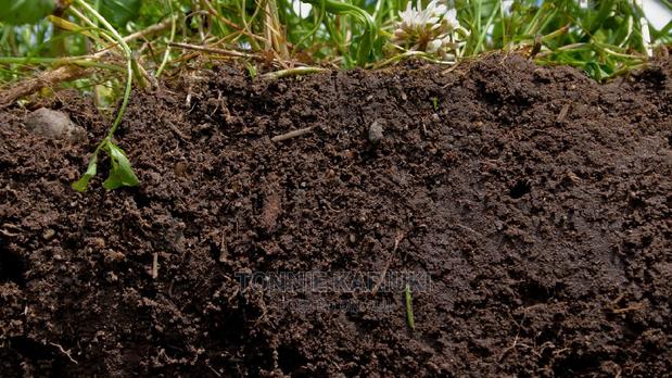 Eighth Acre Plot in Githiru Nyeri Near Gatitu