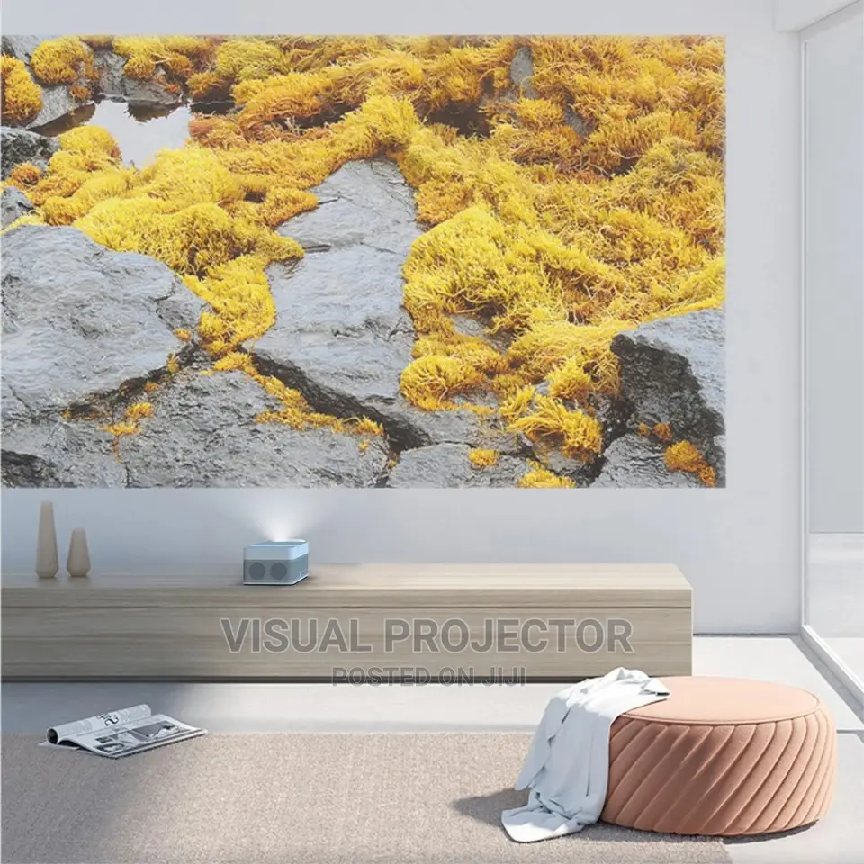 Ultra Short Throw Projector FULL HD , BATTERY OPTION