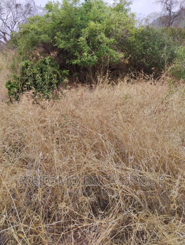 100acres for Sale With Title - thumbnail 5