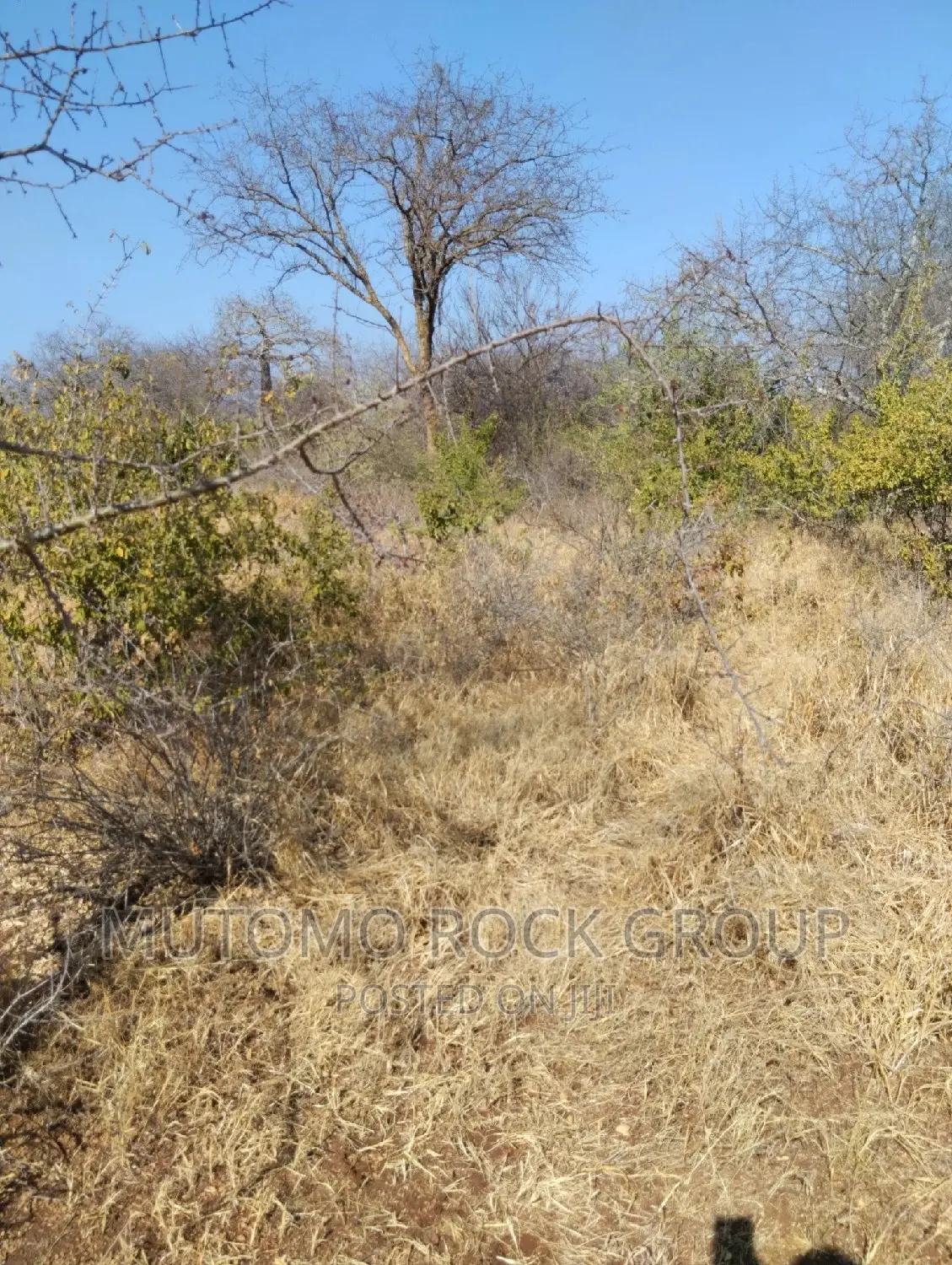 14 Acres for Sale