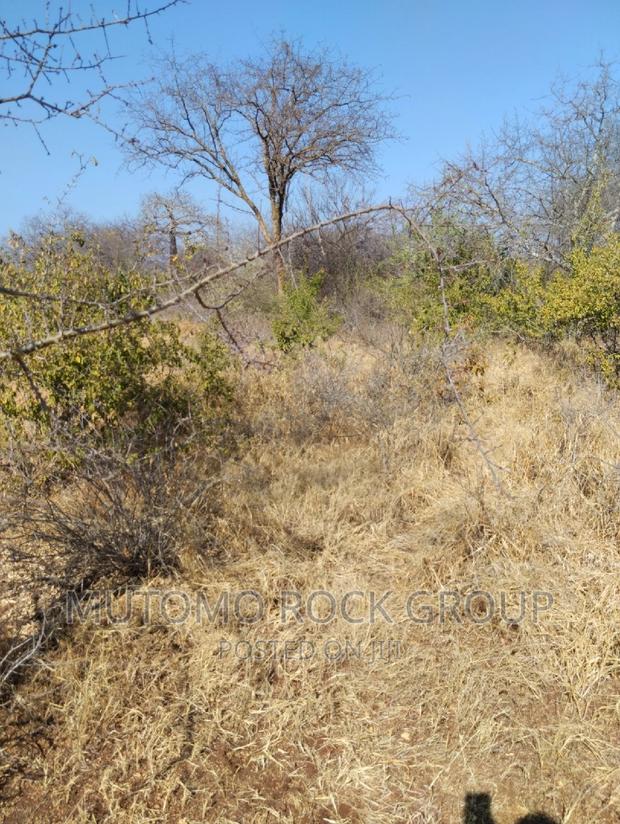 14 Acres for Sale - thumbnail 3