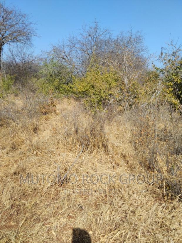 14 Acres for Sale - thumbnail 4