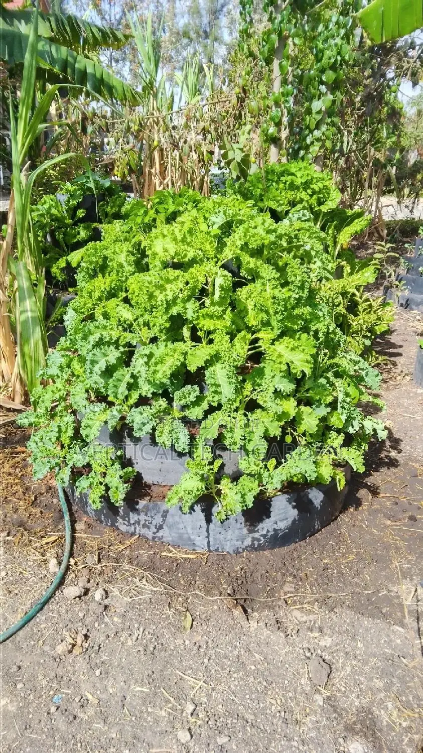 Multistorey Garden