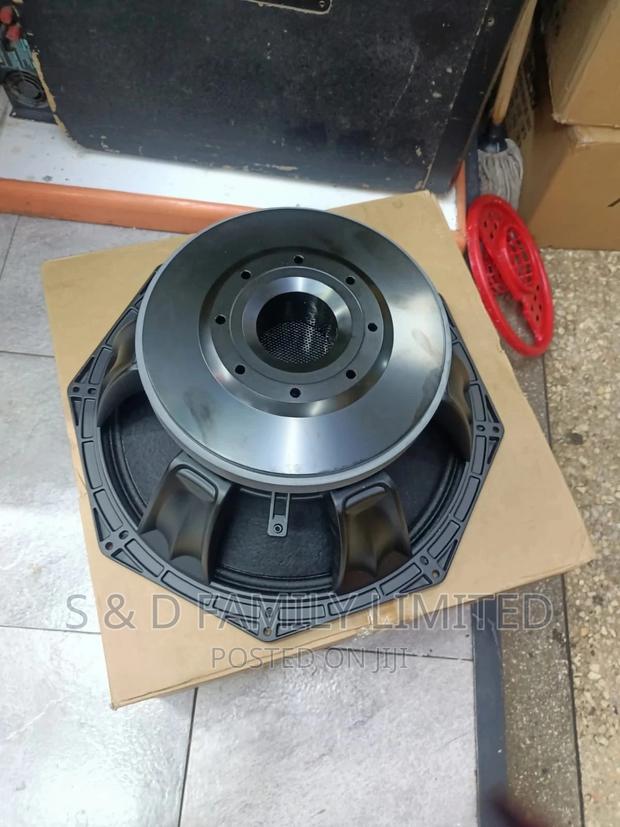 Double Magnet Pd Speaker Pd1891 - main view