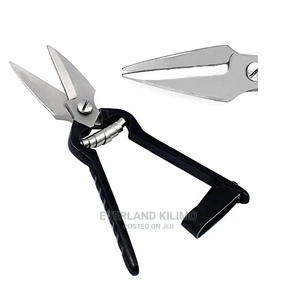 Stainless Steel Hoof Trimmer