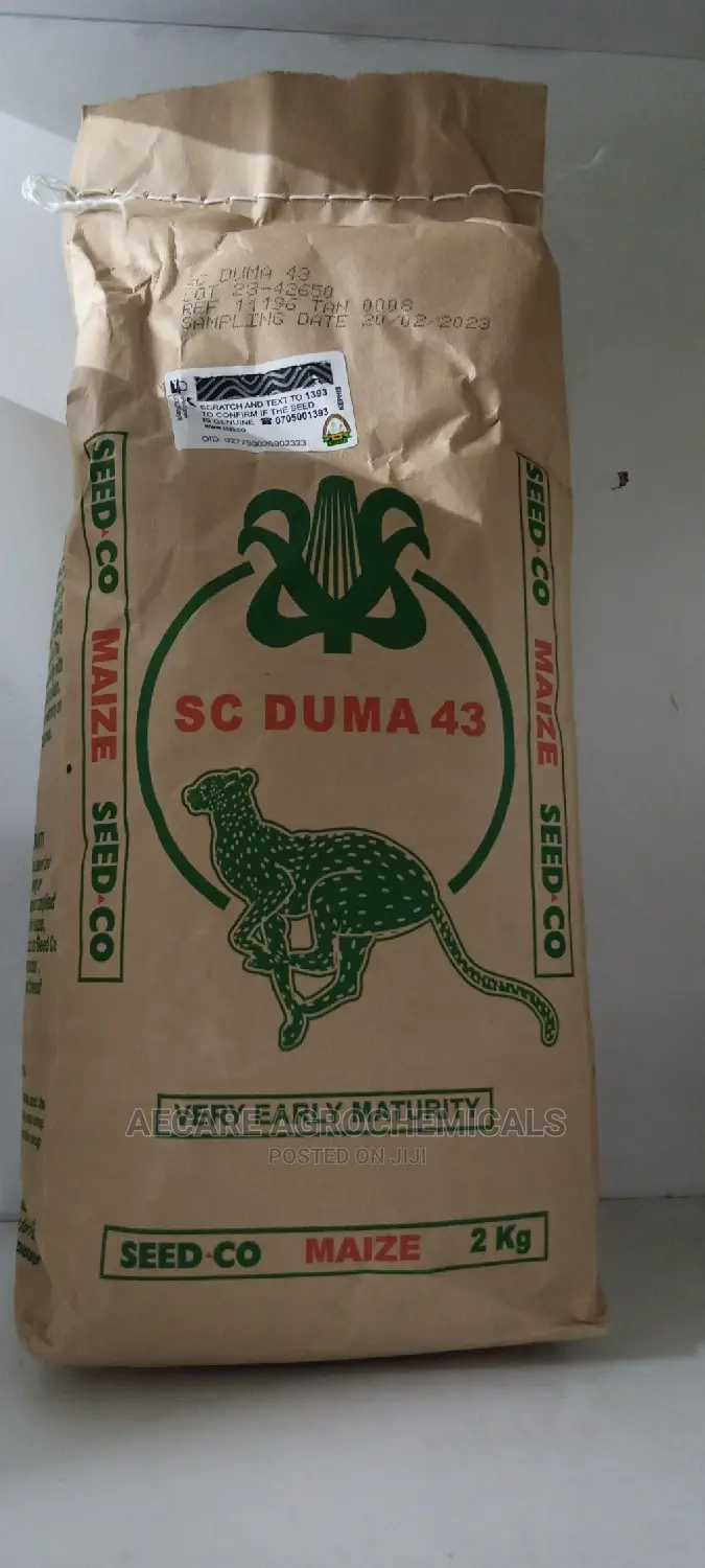 Sc Duma 43 Hybrid Maize Seeds 2kgs