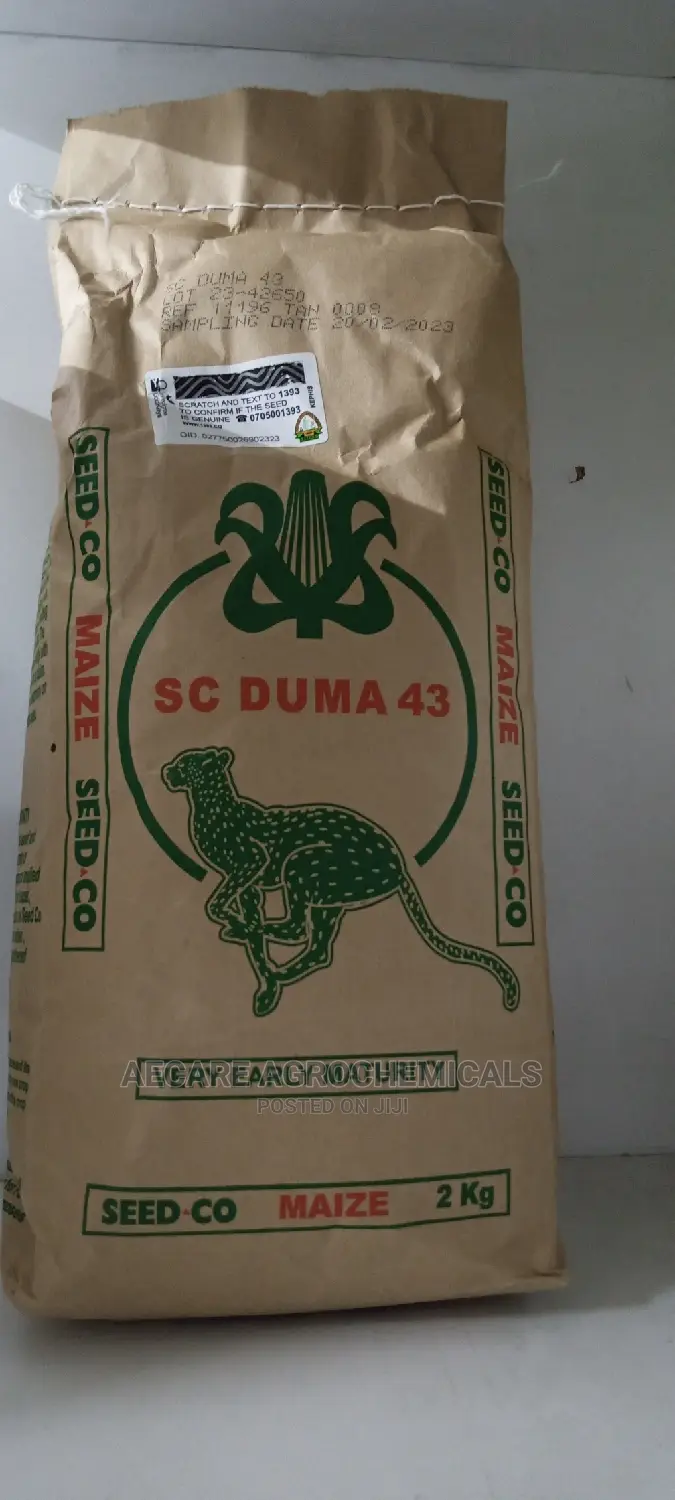 Sc Duma 43 Hybrid Maize Seeds 2kgs