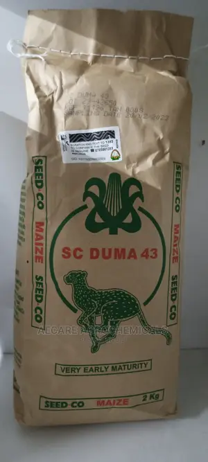 Sc Duma 43 Hybrid Maize Seeds 2kgs