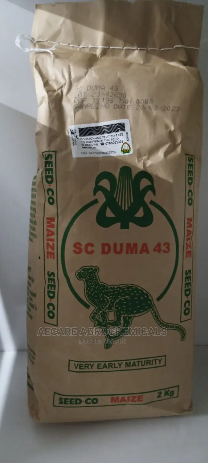 Sc Duma 43 Hybrid Maize Seeds 2kgs