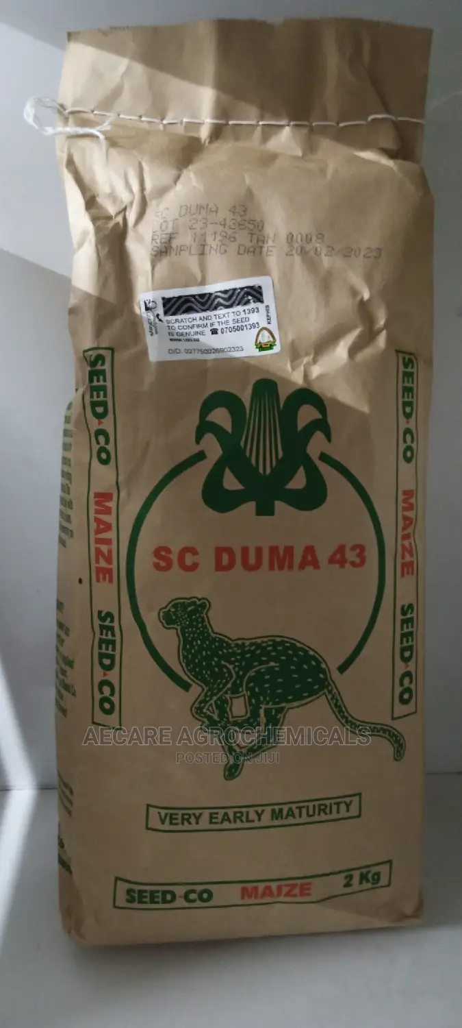 Sc Duma 43 Hybrid Maize Seeds 2kgs