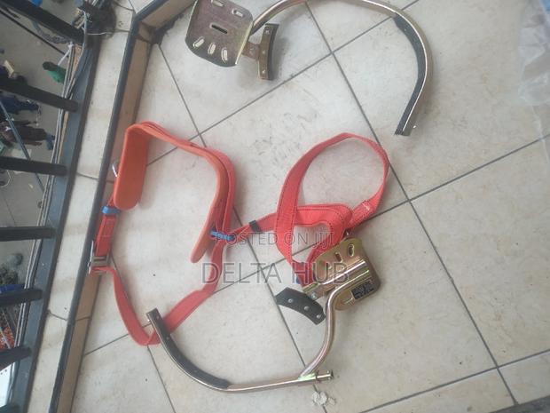 Safety Harness Plus Pole Climbers - main view