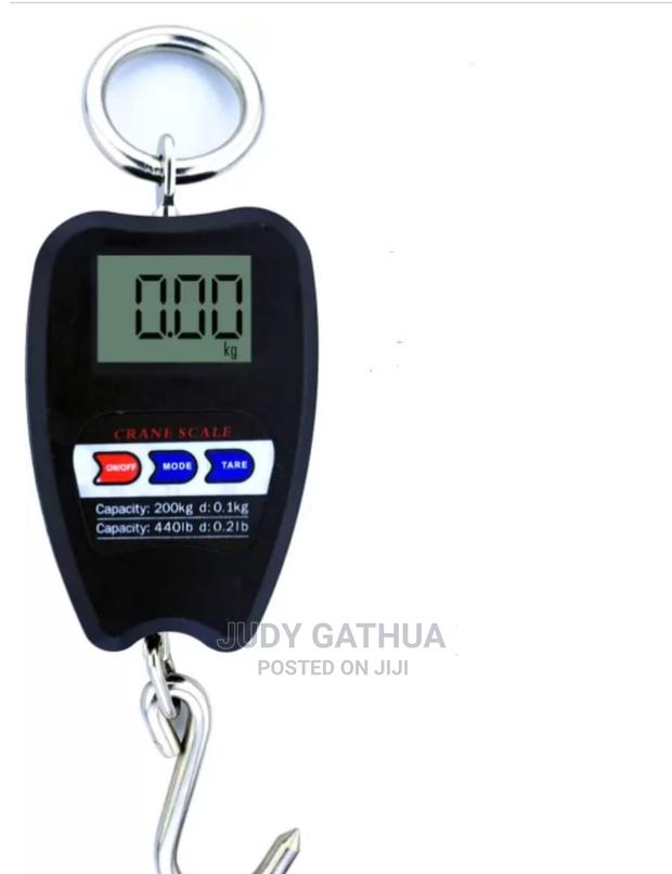 Crane 200kg - main view