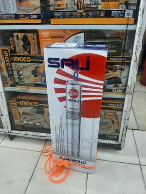 Pedrollo Davis Submersible Pump1hp