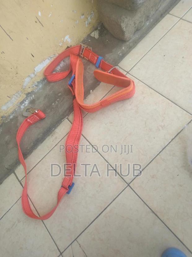 Quality Pole Safety Harness - main view