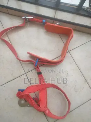 Safety Harness.