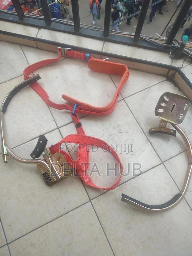 New Pole Climbers Plus Harness - main view