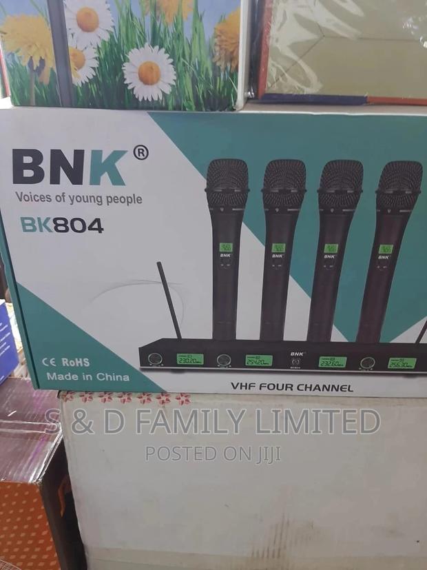 4 in 1 Wireless Microphone