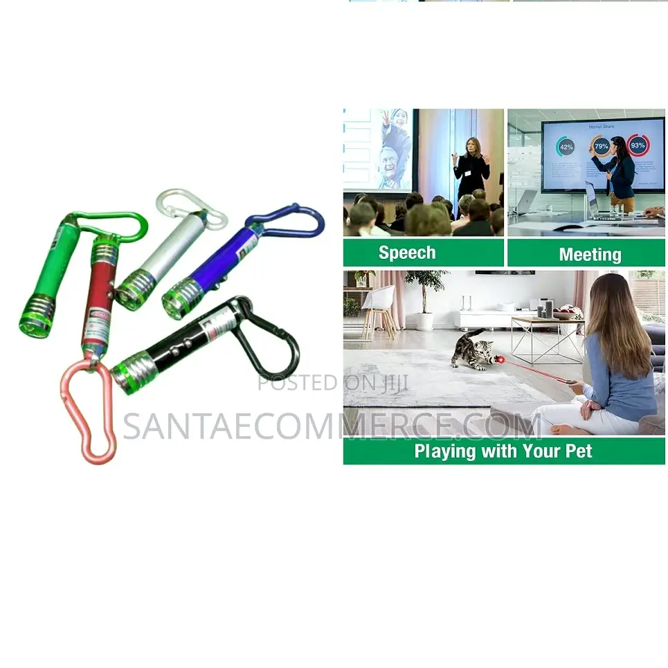 Pets And Presentation Laser Pointer Torch With Key Holder