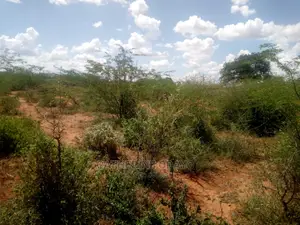 Land for Sale at Orukung'u, Jipe