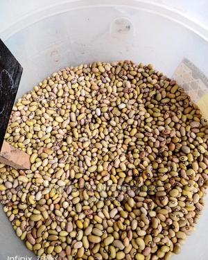 Yellow Beans - thumbnail 2