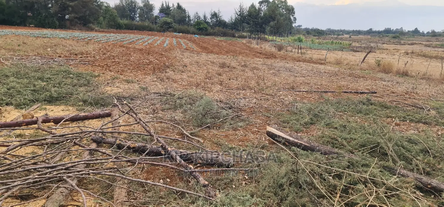 Afordable 1⁄4 Plot for Sale in Chepkanga Willow Tree Eldoret