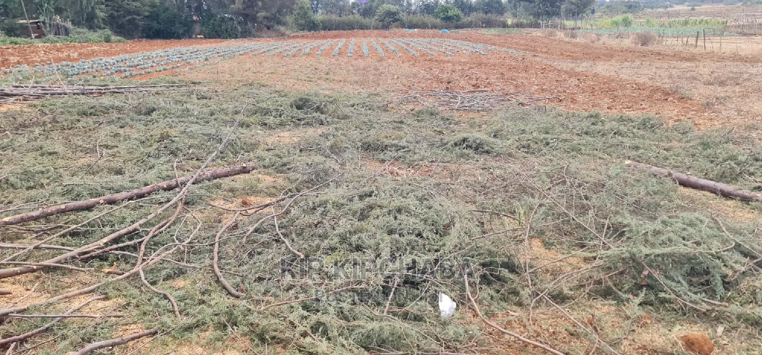 Afordable 1⁄4 Plot for Sale in Chepkanga Willow Tree Eldoret