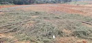 Afordable 1⁄4 Plot for Sale in Chepkanga Willow Tree Eldoret