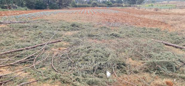 Afordable 1⁄4 Plot for Sale in Chepkanga Willow Tree Eldoret - thumbnail 3