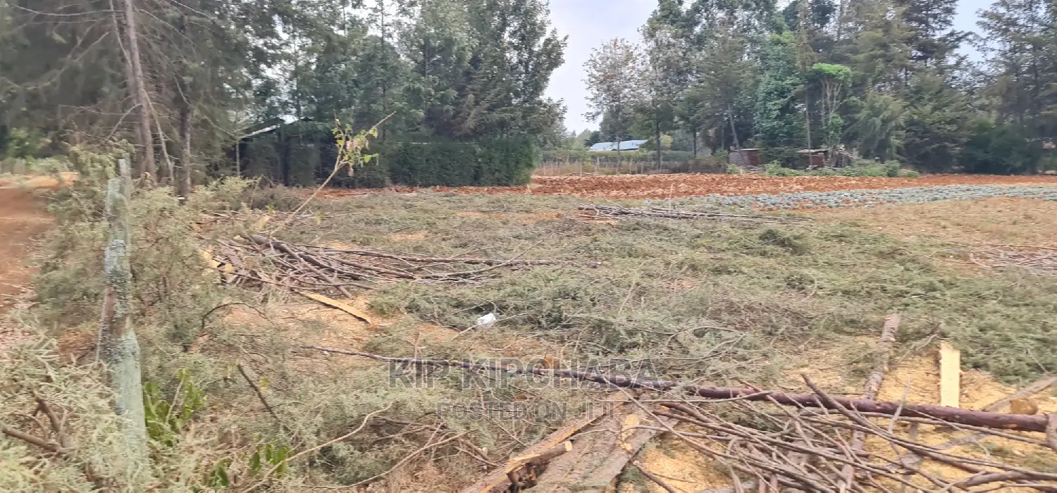 Afordable 1⁄4 Plot for Sale in Chepkanga Willow Tree Eldoret