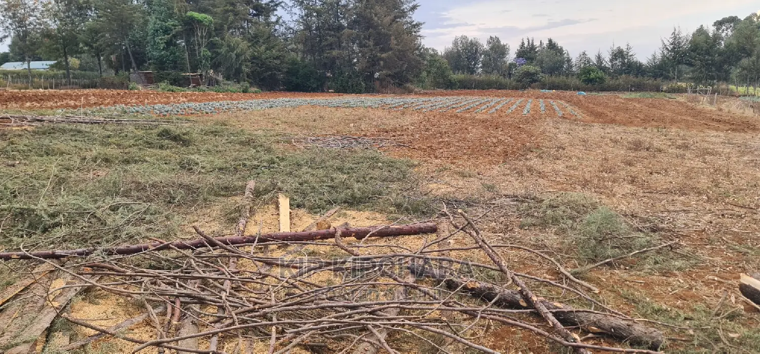 Afordable 1⁄4 Plot for Sale in Chepkanga Willow Tree Eldoret