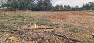 Afordable 1⁄4 Plot for Sale in Chepkanga Willow Tree Eldoret