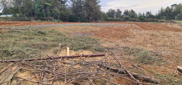 Afordable 1⁄4 Plot for Sale in Chepkanga Willow Tree Eldoret - thumbnail 5