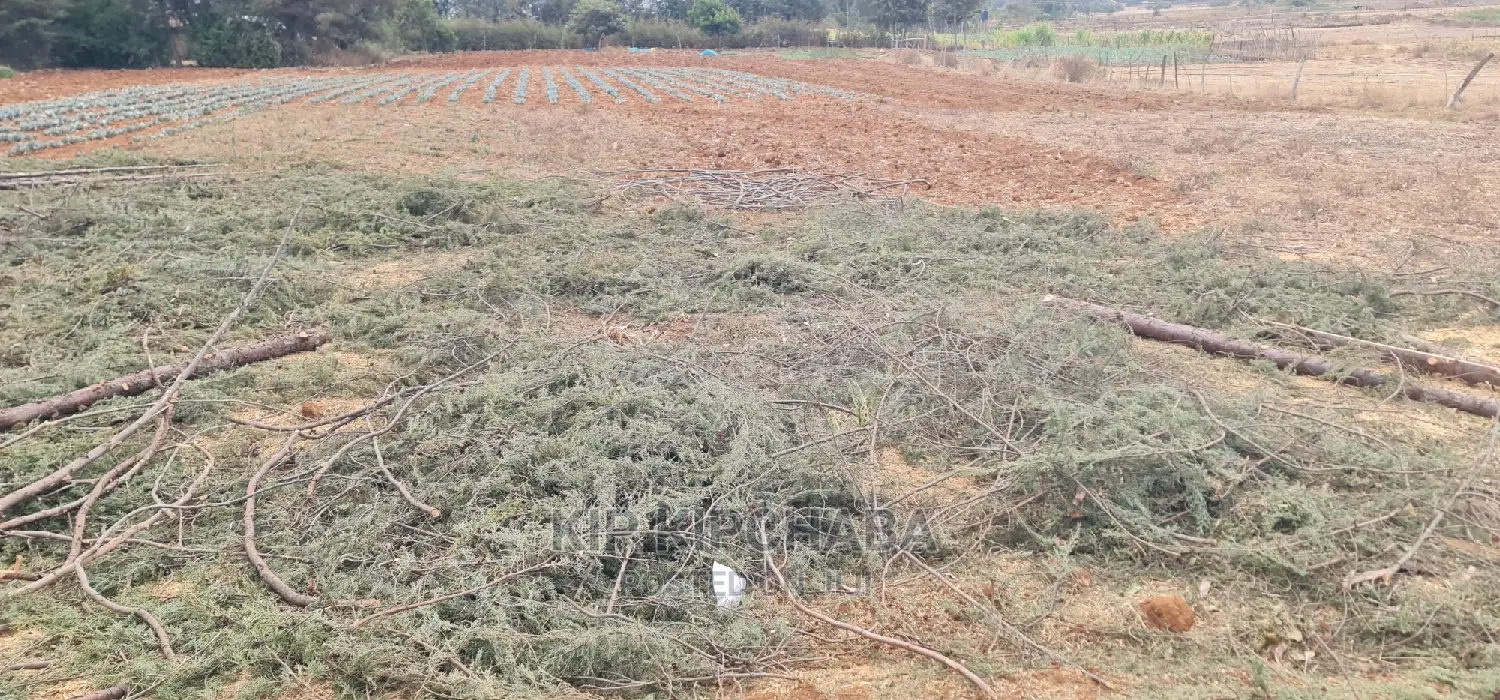 Afordable 1⁄4 Plot for Sale in Chepkanga Willow Tree Eldoret