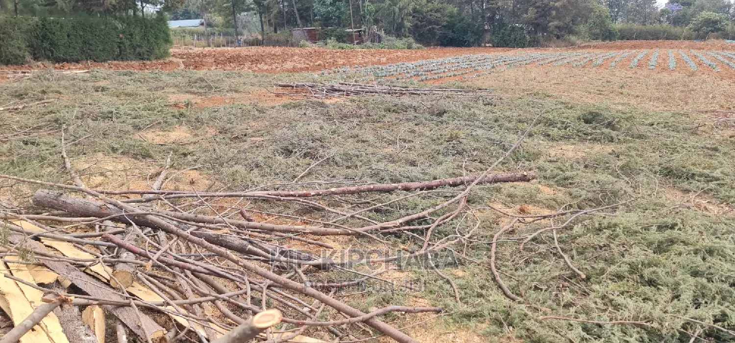 Afordable 1⁄4 Plot for Sale in Chepkanga Willow Tree Eldoret