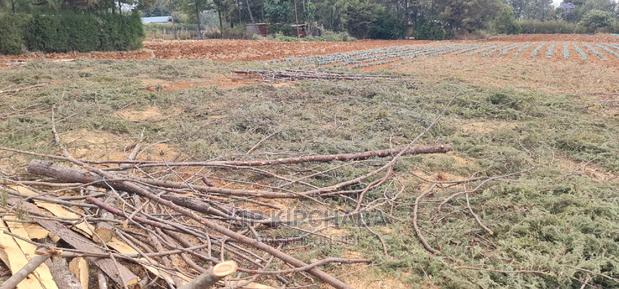 Afordable 1⁄4 Plot for Sale in Chepkanga Willow Tree Eldoret - thumbnail 9