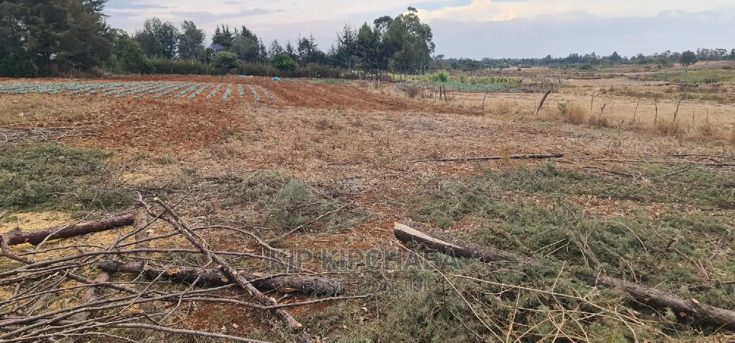 Afordable 1⁄4 Plot for Sale in Chepkanga Willow Tree Eldoret