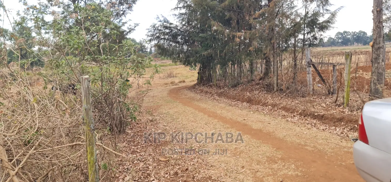Afordable 1⁄4 Plot for Sale in Chepkanga Willow Tree Eldoret