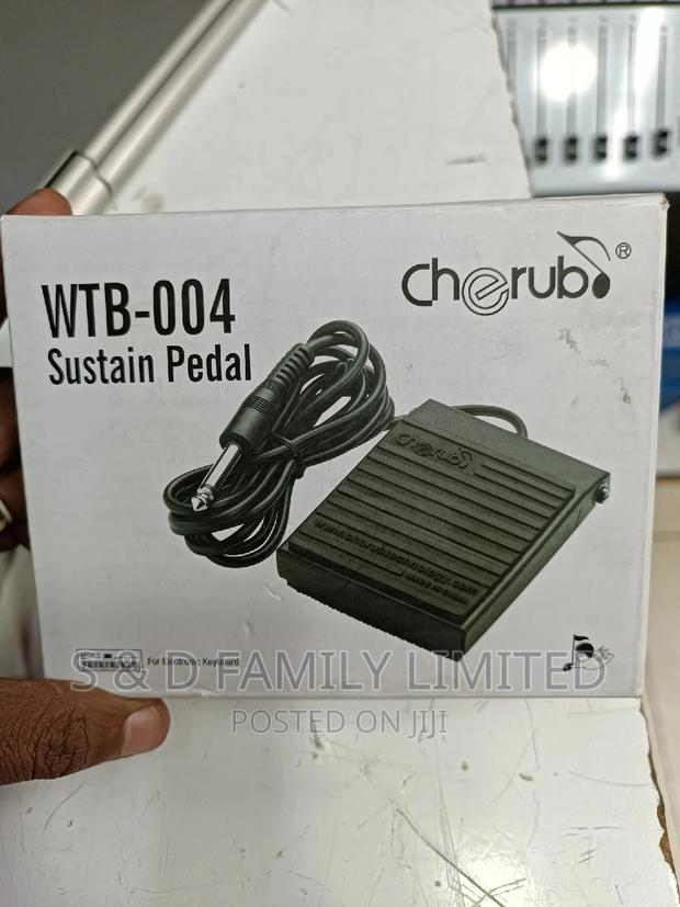 Quality Sustain Pedal - main view