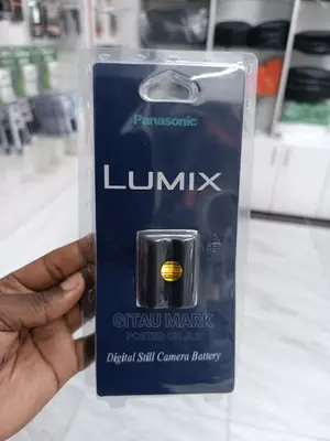 Panasonic S006 Battery for Lumix Fz30 Camera