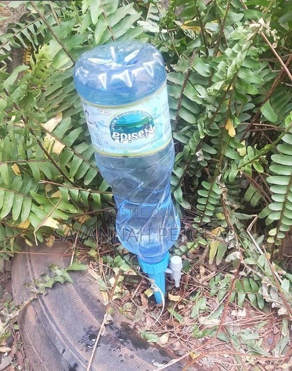 Adjustable Self Watering Spike - 10 Pieces