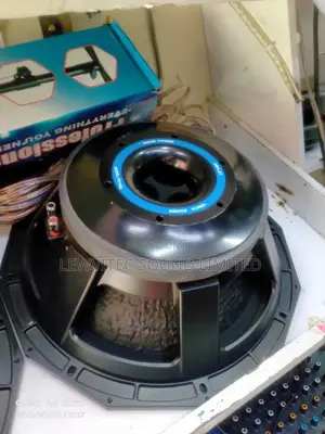 Ashley Pd Speaker