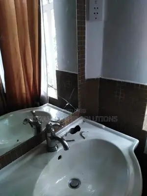 Resurfacing Defaced, Cracked Sink, Jacuzzi, Bathtubs, Toilet