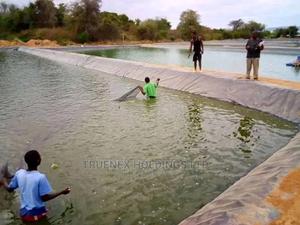 Fish Pond for Agriculture - main view