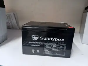 Sunnypex 12A 12V Solar Battery