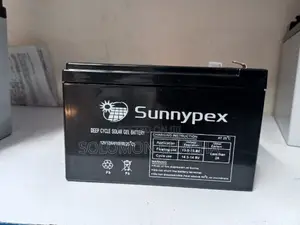 Sunnypex 12A 12V Solar Battery