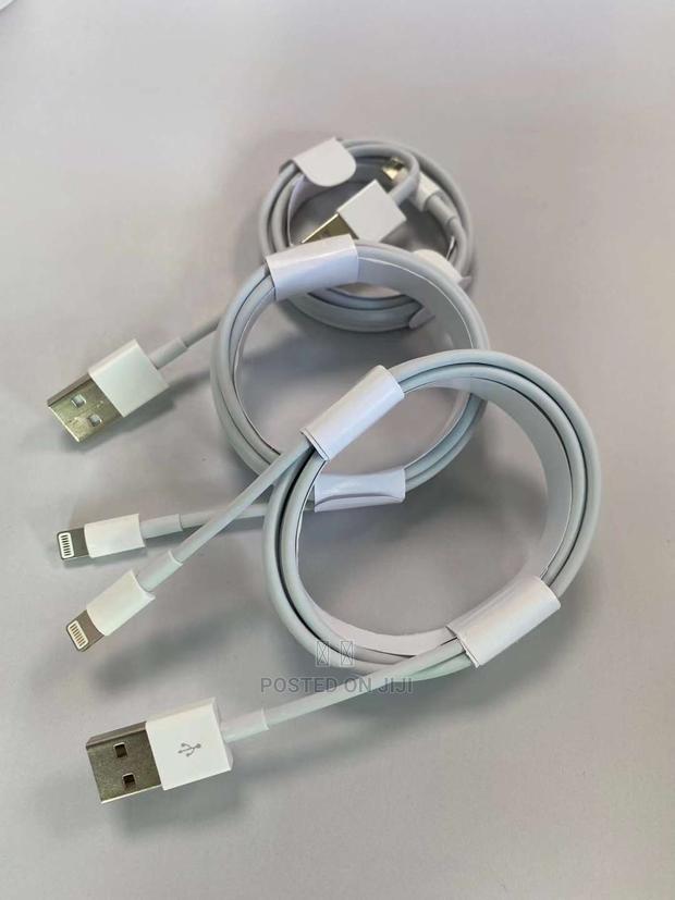 Original iPhone 6a Cable - main view