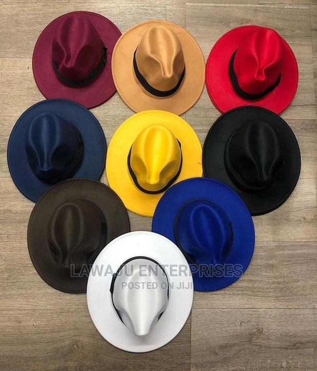 Wide Brim Fedora Hat - thumbnail 3