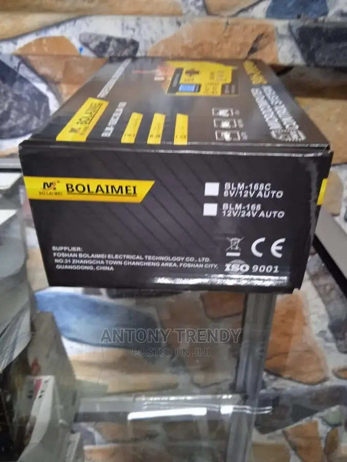 BLM-168 12v/24v Smart Automatic Battery Charger