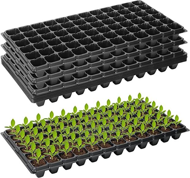 Propagation Starter Tray - Wholesale